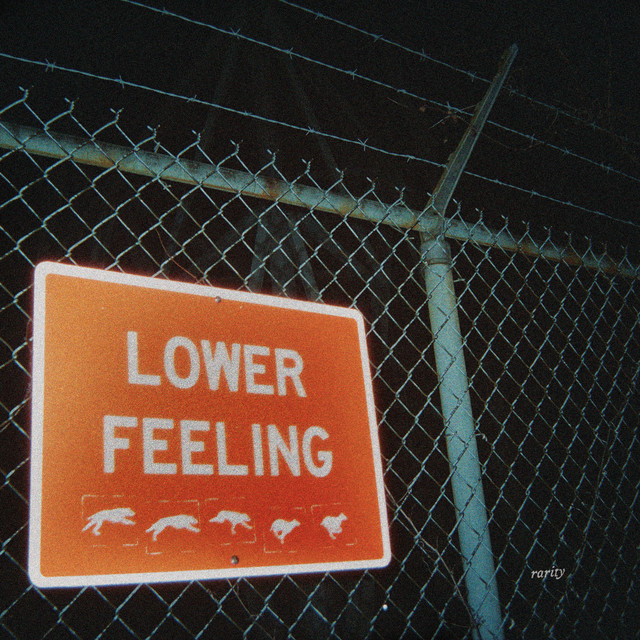 Lower Feeling cover art