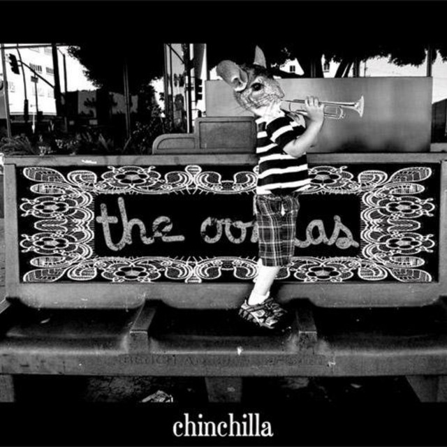 Chinchilla cover