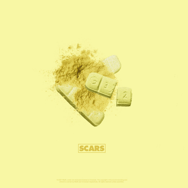Scars cover art