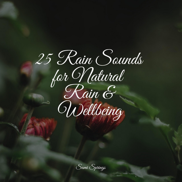 25 Rain Sounds for Natural Rain & Wellbeing - Album by Academia de ...