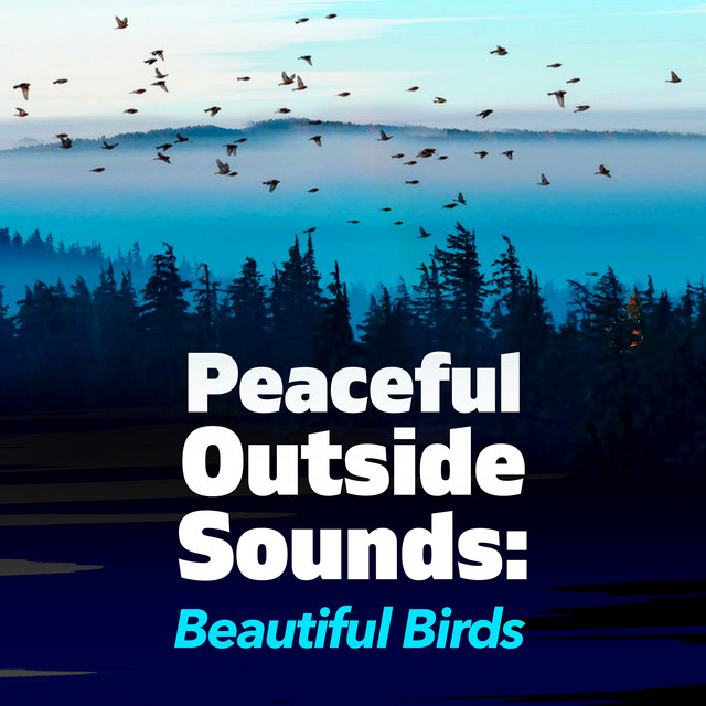 Peaceful Outside Sounds: Beautiful Birds - Album by Nature Soundscape ...