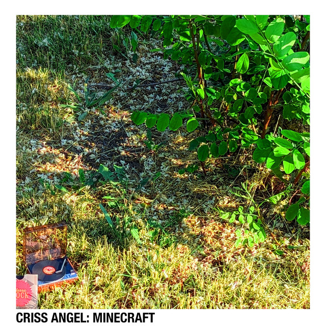 Criss Angel: Minecraft cover art
