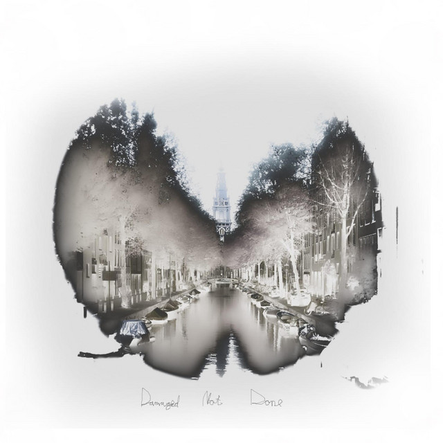 Damaged Not Done cover art