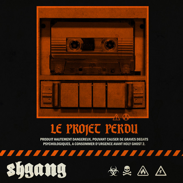 Le Projet Perdu cover art