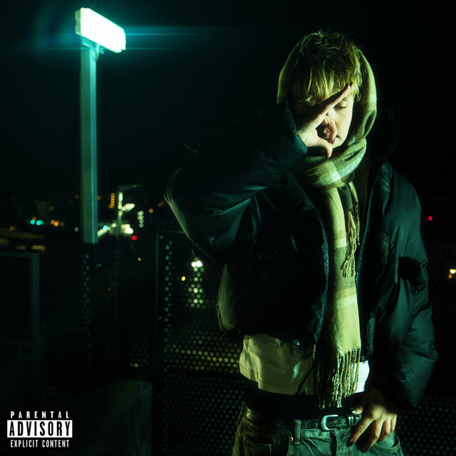 Fine shit cover art