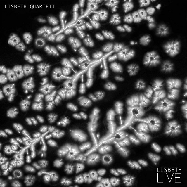 Lisbeth cover
