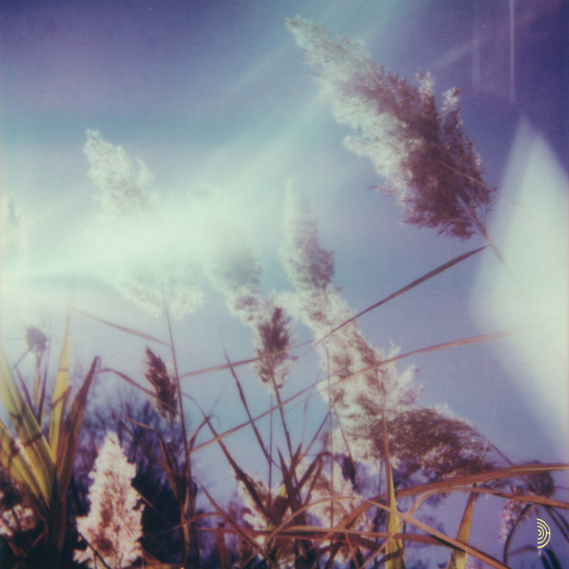 Stanza IV cover art