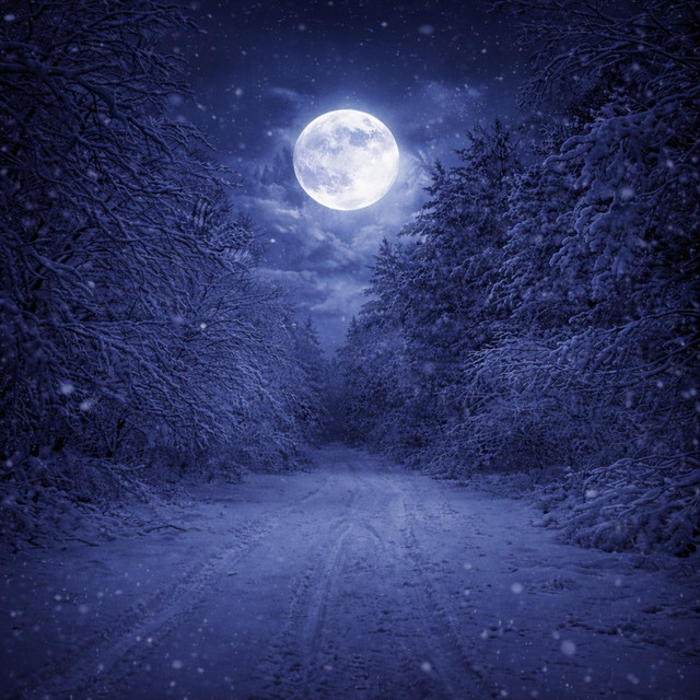 Cover art: Wander Through Silence — Diversión 私に