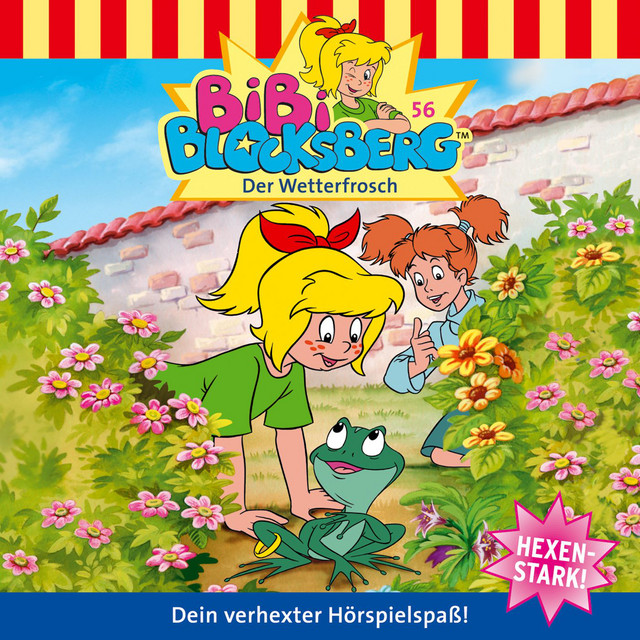Cover: Der Wetterfrosch