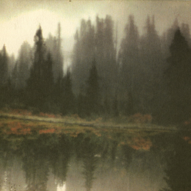 Neighborhood (Gentrified)