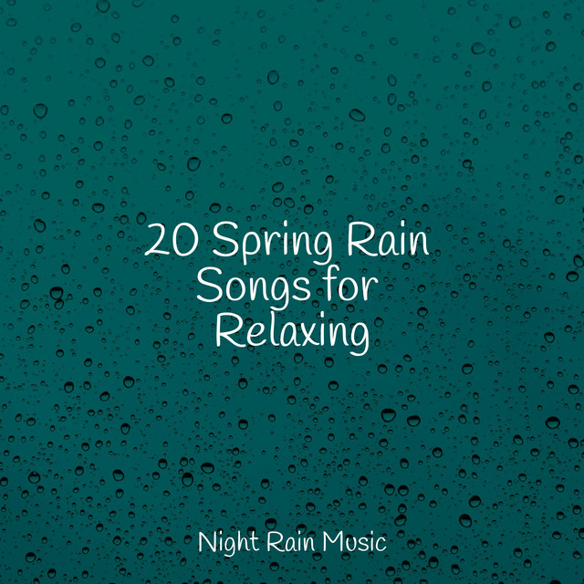 20 Spring Rain Songs for Relaxing - Album by Sonido de lluvia | Spotify