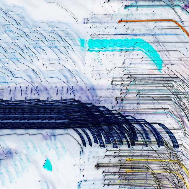 Nosu cover art