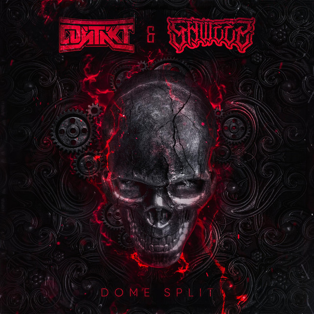 Dome Split cover art