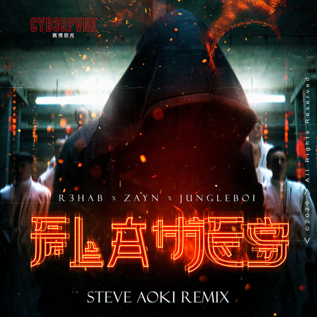 Flames (With ZAYN) - Steve Aoki Remix