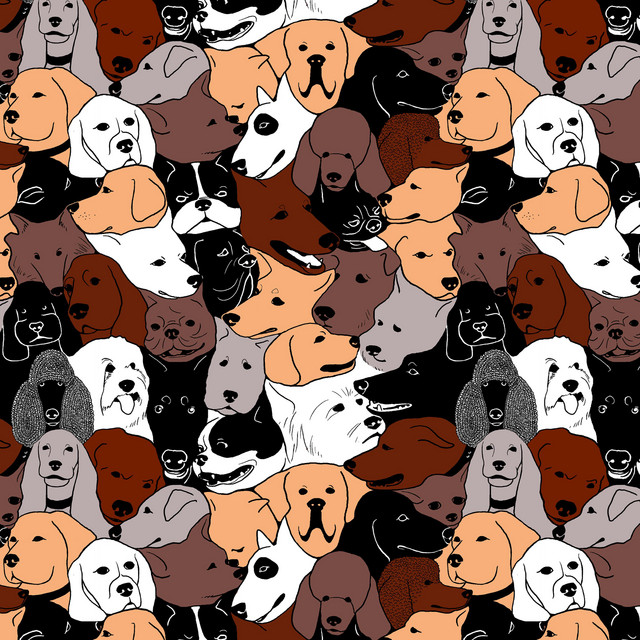 Portrait cover art
