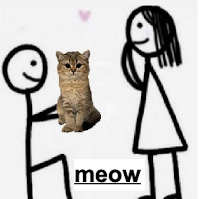 meow cover art