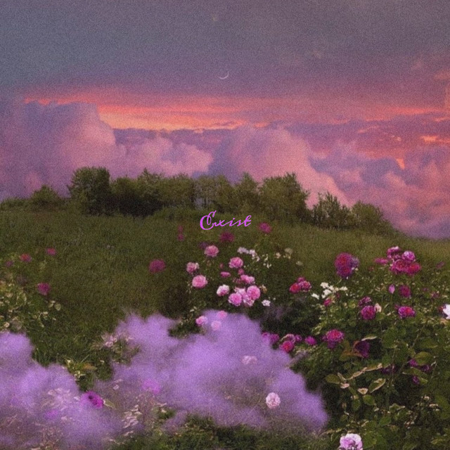 EXIST cover art