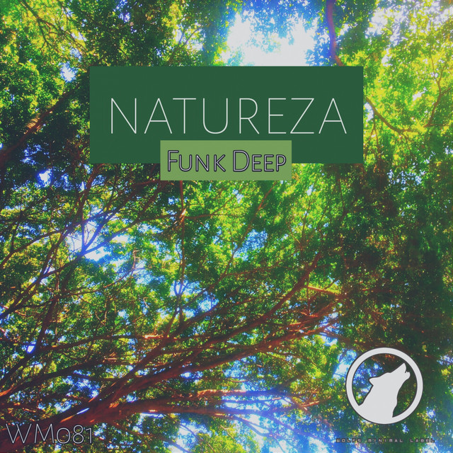 Funk Deep