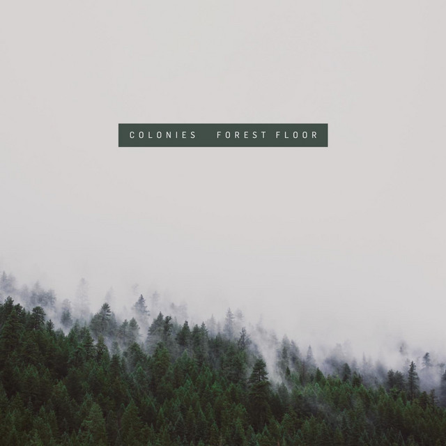 Forest Floor cover art