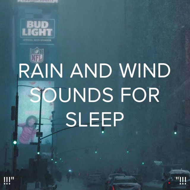 !!!" Rain and Wind Sounds for sleep "!!! cover art