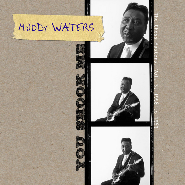You Shook Me - The Chess Masters, Vol. 3, 1958 to 1963 - Album by