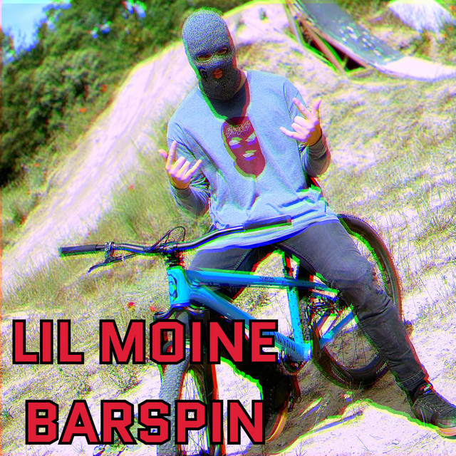 Barspin cover art