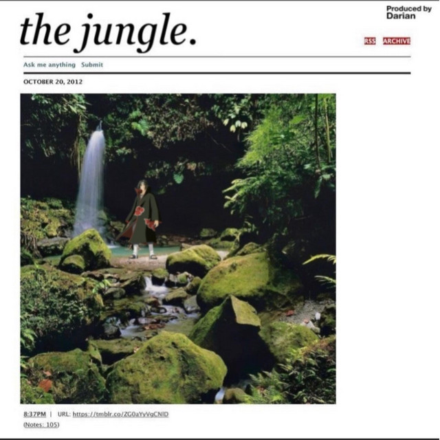 The Jungle