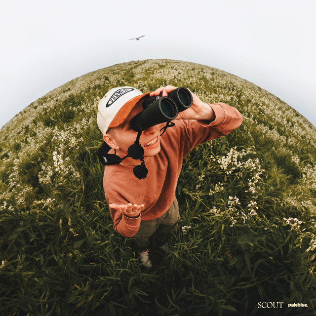 SCOUT cover art