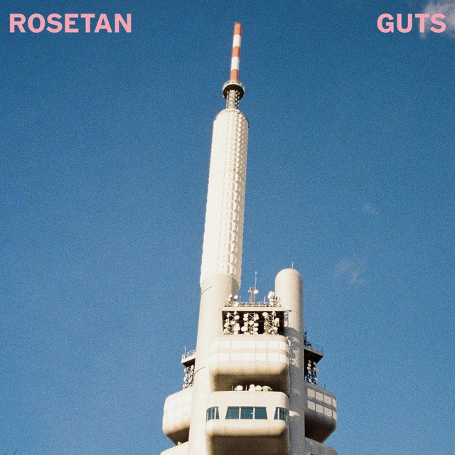 guts cover art