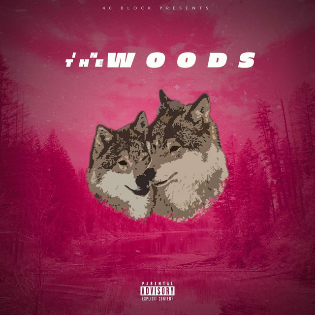 In the Woods cover art