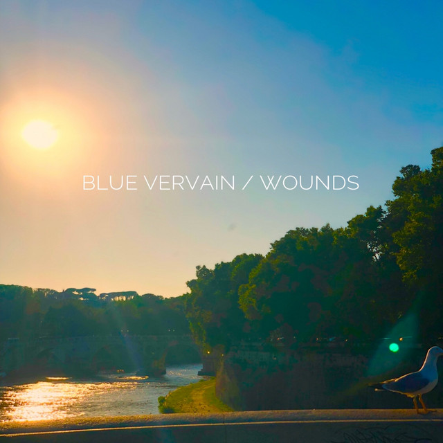 Wounds cover