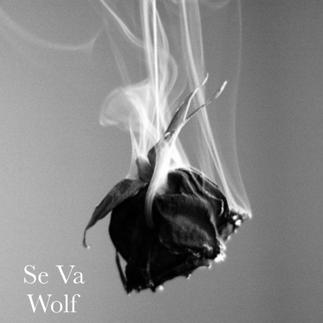 Se Va cover art