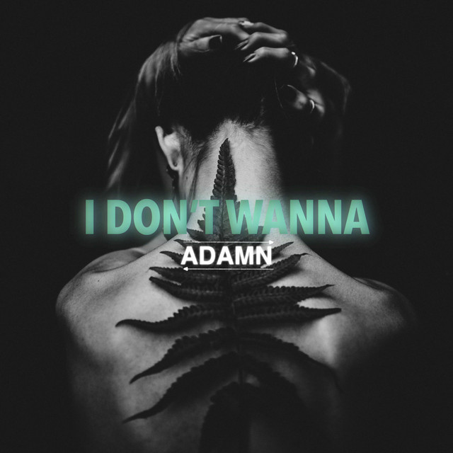 I Don't Wanna
