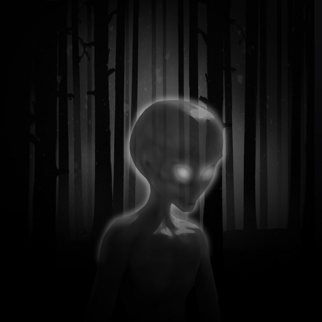 Dark Forest