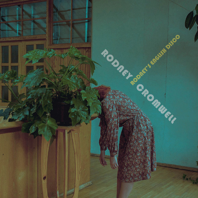 Rodney's English Disco cover art
