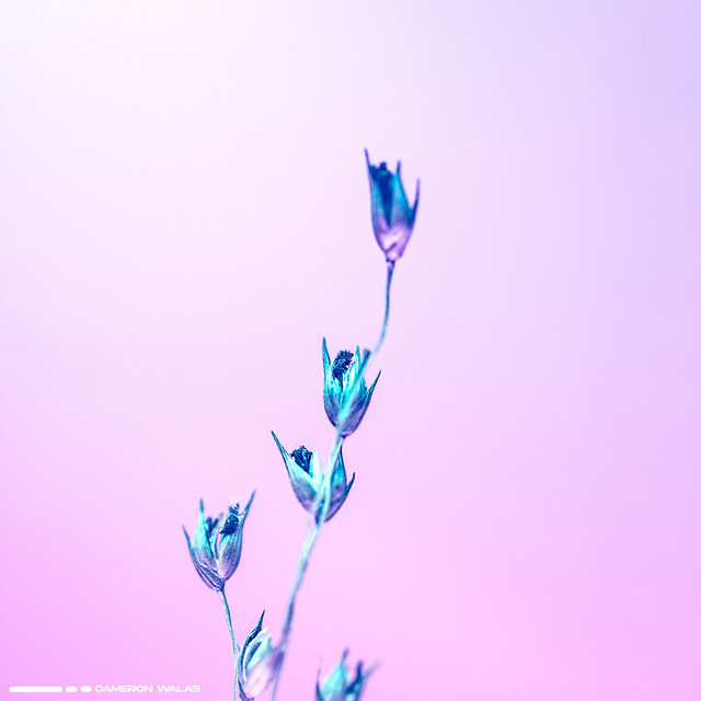 Breaths in Motion