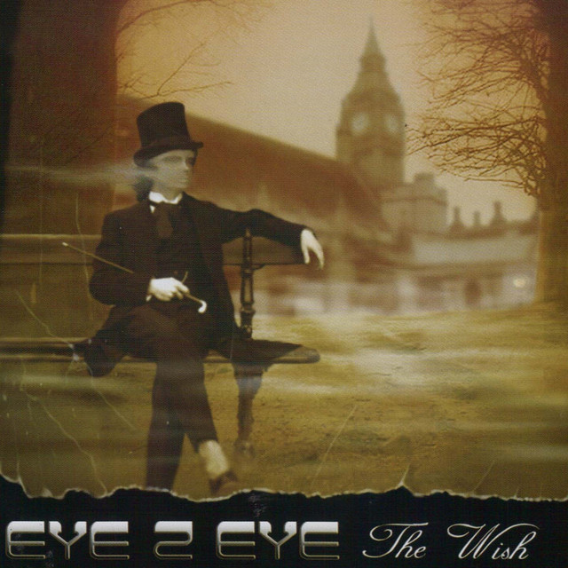 The Wish cover