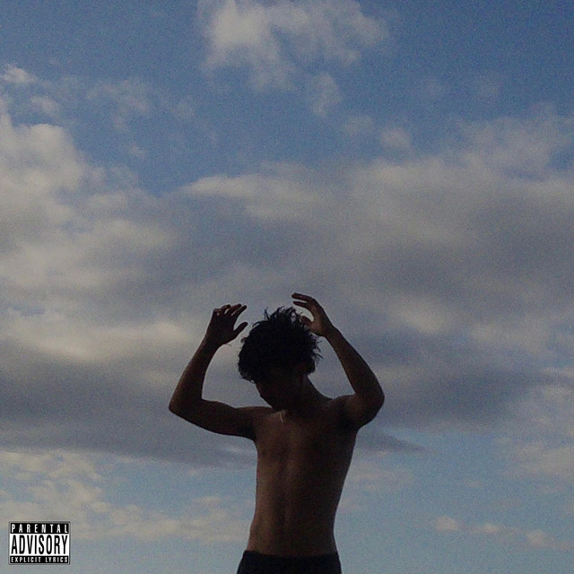 35 FOKIN PACAS cover art
