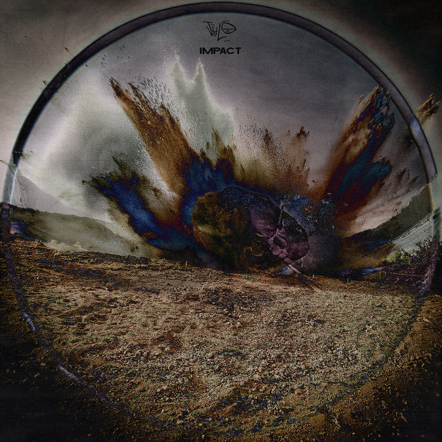 SHRILLS album art