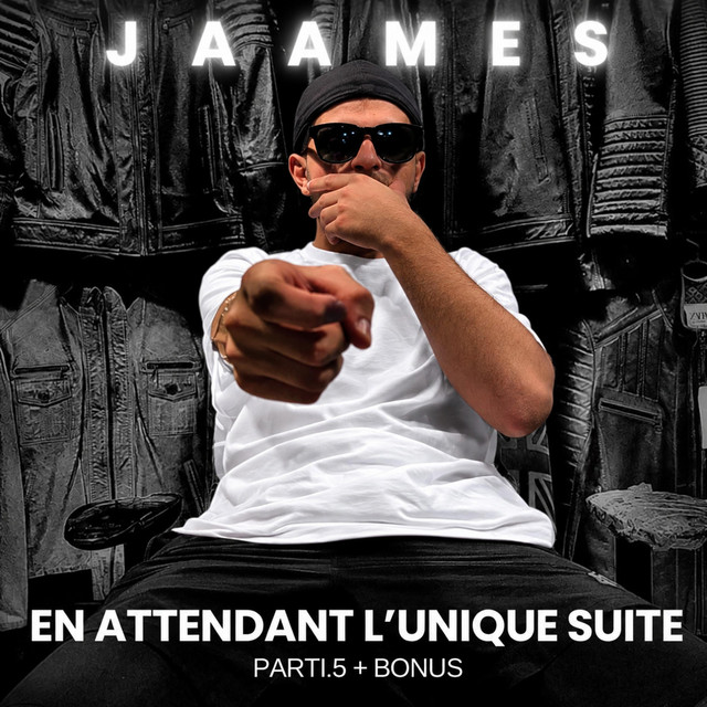 EN ATTENDANT L'UNIQUE SUITE (Parti.5, Version Longues) cover