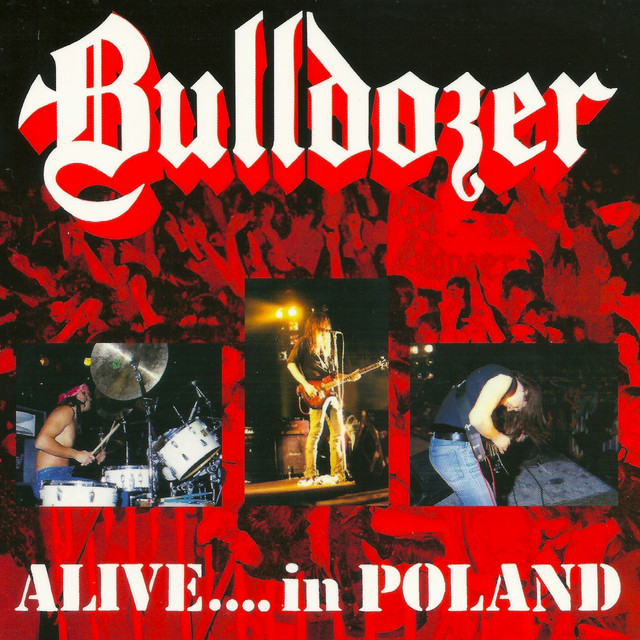 Alive in Poland 1989 (Live) cover art