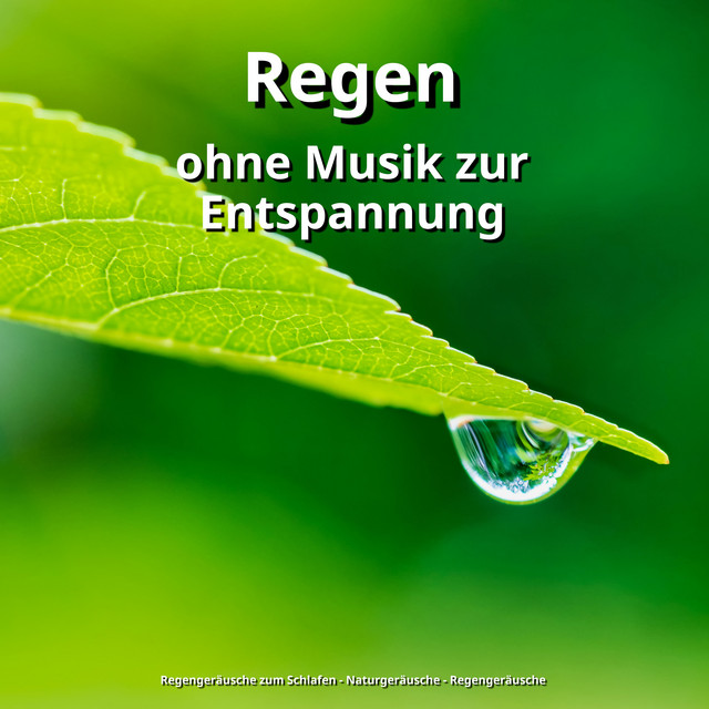 Regen ohne Musik zur Entspannung cover art