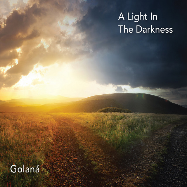 A Light In The Darkness cover art