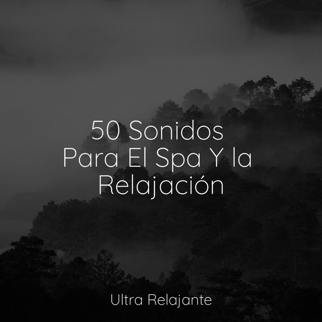 Música Para Dormir | Spa Y Serenidad - Album by Sonidos De Truenos y ...