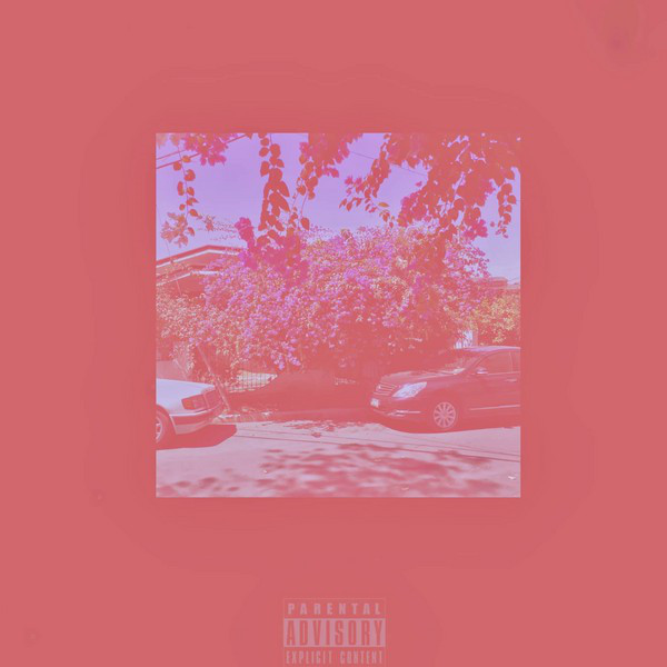 DWPG cover art