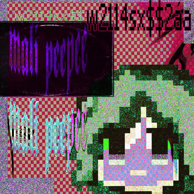 w2114sx$$2aa cover art