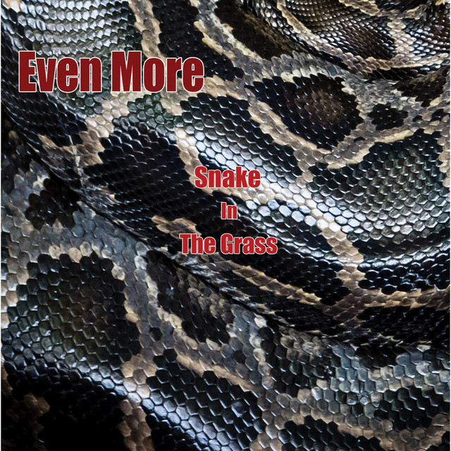 Snake in the Grass cover
