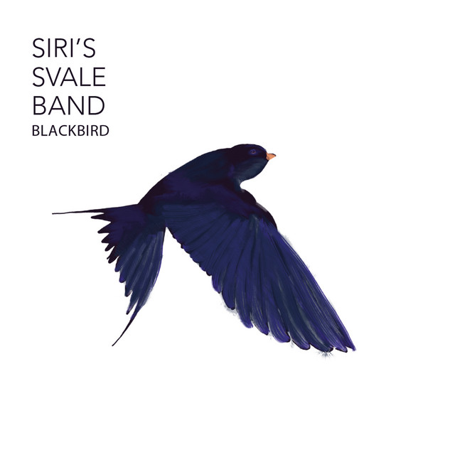 Blackbird cover art