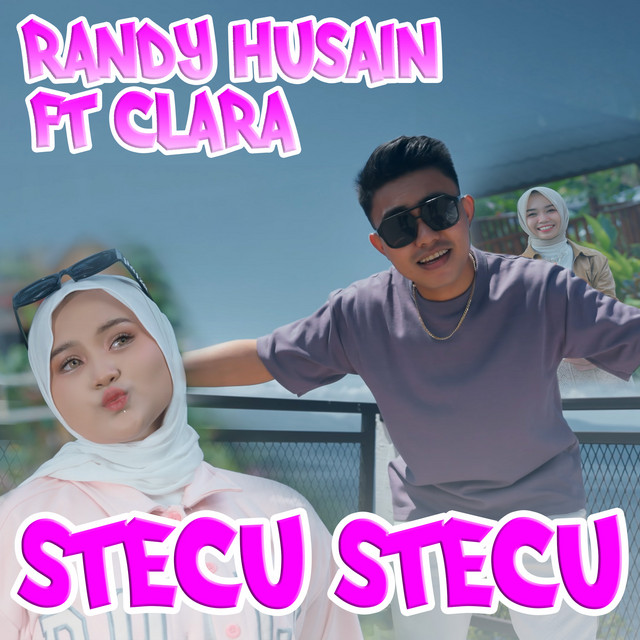 Stecu Stecu