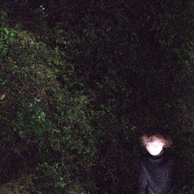 There Is No Sunshine cover art